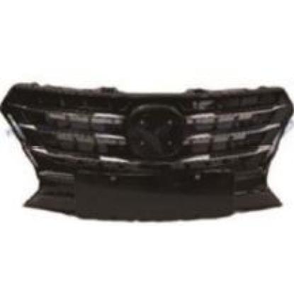 Picture of The grille assembly on the front bumper