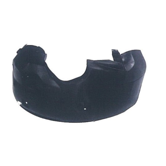 Picture of REAR FENDER INNER