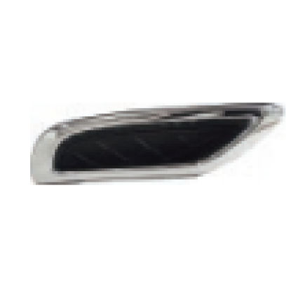 صورة REAR EXHAUST NICKEL COVER