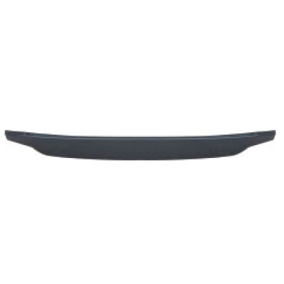 صورة REAR DOOR BOARD