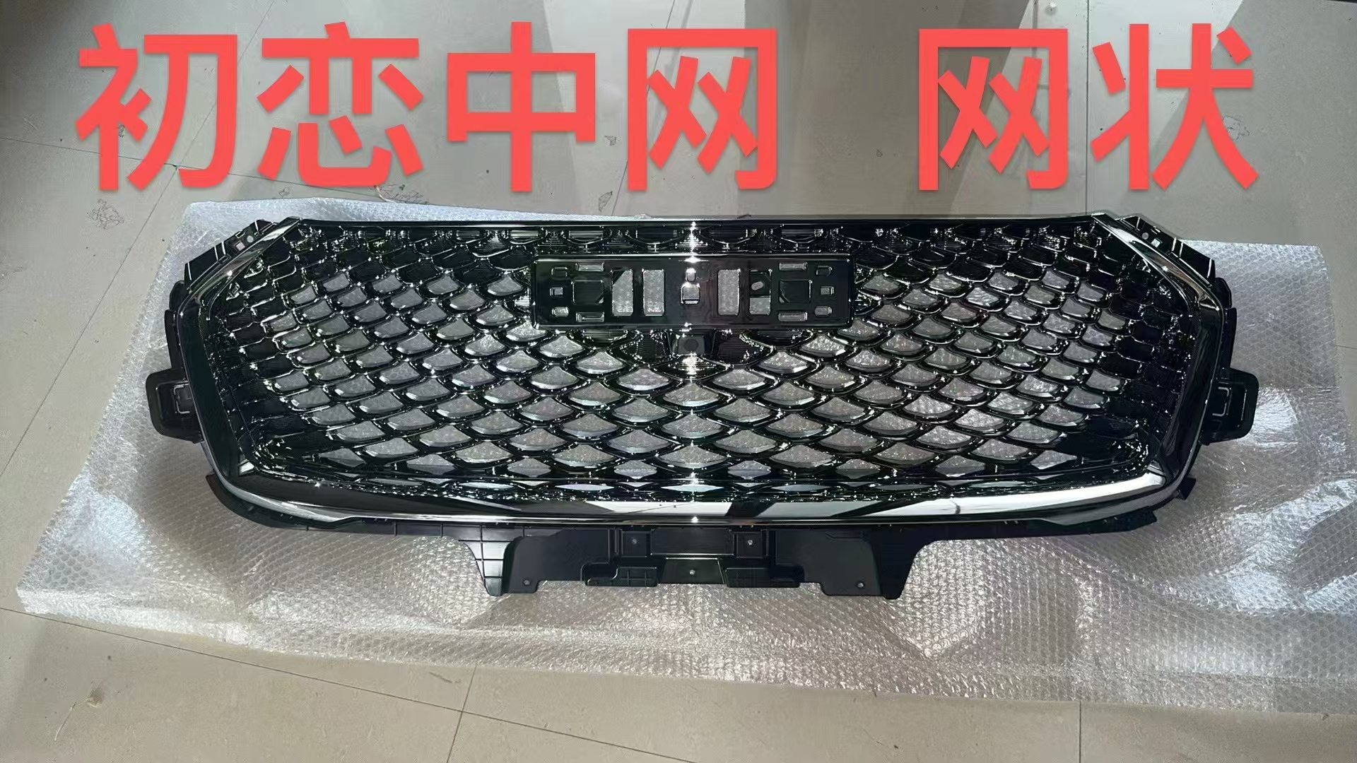 Middle grille (mesh)