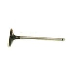 Engine Valves