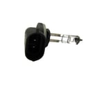 Fog Light Bulb