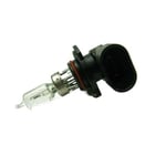 Bulb