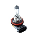 Bulb