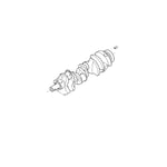 Crank Shaft