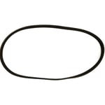 V-RIBBED BELT