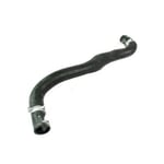 Upper Radiator Hose