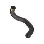 Lower Radiator Hose