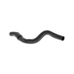 Lower Radiator Hose