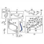 Lower Radiator Hose