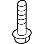 Bolt