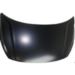 PANELASSY-HOOD
