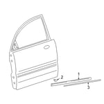 MOULDING -FR DR W/LINE LH