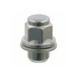 NUT, HUB (FOR AXLE)