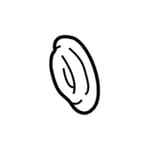 Compressor Clutch