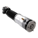 Left Rear Hydraulic Shock Absorber