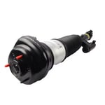 Right Rear Hydraulic Shock Absorber