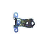 Right Rear Lower Door Hinge