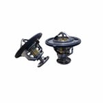 Thermostat Valve