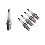 Spark Plug