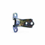 Right Rear Lower Door Hinge
