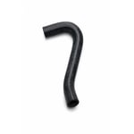 Oil Cooler Outlet Hose
