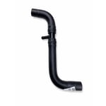 Radiator Outlet Hose