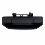 Tailgate Handle (Black, No Chrome)