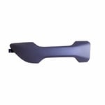 Front Left Door Handle