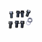 Engine Oil Pan Drain Plug