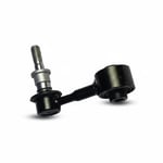 Rear Stabilizer Bolt