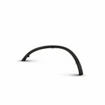 Rear Right Fender Trim