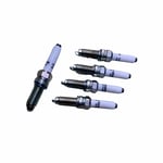 Spark Plug Set
