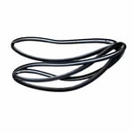 Front Left Door Weatherstrip Seal
