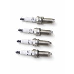 Spark Plug Set