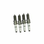 Spark Plug Set