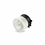 AC Blower Motor