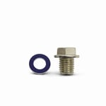 Engine Oil Pan Drain Plug