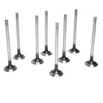 Tire Valve Stem