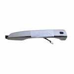 Right Front and Rear Door Handle, Chrome