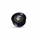 Drive Belt Tensioner Pulley