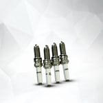 Spark Plug Set