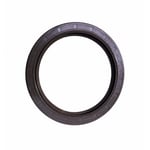 Rear Crankshaft Seal