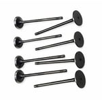Exhaust Valve (Single)