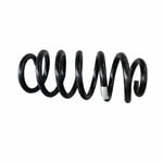 Rear Coil Springs