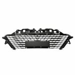 Front Grille (White)