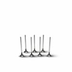 Exhaust Valve (Single)