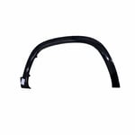 Left Front Fender Trim