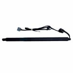 Left Trunk Strut